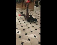 Guy in red shoes does windmill spin on floor of store