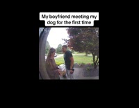 Ring camera guy meets dog first time 