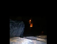 Brown dog jumps and sniff near cctv