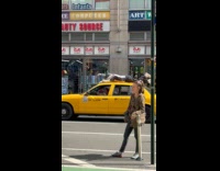 Car drives around with mannequin on top