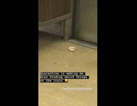 bottom pair of dentures subway train floor 