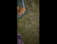 Collab BitchMP - Frog in net guy grabs scream 