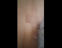 Pet black pug stick tongue out