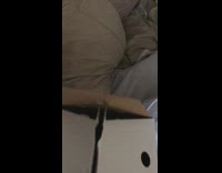 Collab BitchMP - Orange cat doesnt like new black cat