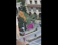 Woman flashes video shoot