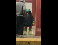 ninja turtle blue mask black jacket statue 