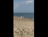 Woman takes a picture of a pineapple at the beach