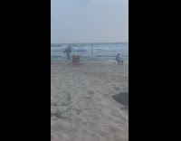 Girl runs down beach brown dog
