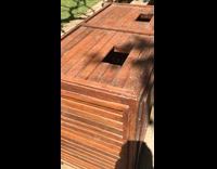 Small grey monkey runs away with tissue 