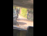 Black jacket girl brick wall ivy car 