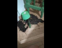 Pet cat lie down near the fallen cactus pot