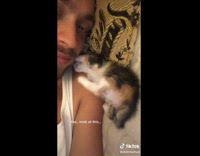 Collab BitchIG2 - Cat rolling around next to guy in bed 