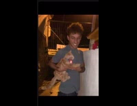 Cat scared and hisses on the flower