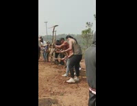 Group of students plough land with the beat