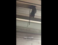 Hair wig hang above subway train tracks