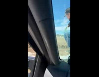 Cow chases guy for tagging calf 