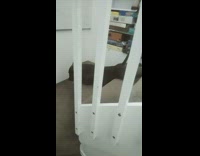 Pet dog body crawl down the stairs