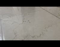 Four ants crawls and forms a line on the tiles