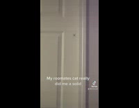 Man Sees and Zooms in on Insect 