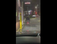 Man rides on mini bike at the drive thu in evening NYC 