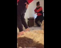 Girl uses freeze frame filter white dog 