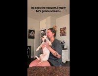 Dog screams seeing the vacuum brought out 