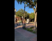 Men riding horse while on their phone 