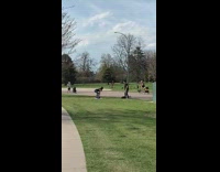 Girl purple yoga mat park grass squats