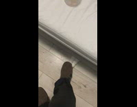 Cat reaches for guys foot from under the bed 