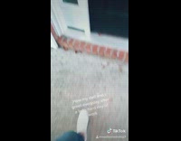 Girl comes home dad computer whats up ese