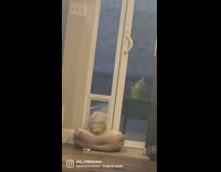 Dog tries to bring bed outside