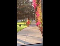Girl sitting on chair films tiktok sidewalk 