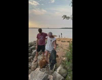 Two men pet dogs women cosplay sword