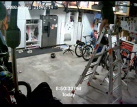 Father organizing garage falls from the ladder