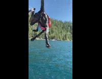 Guy throws black dog blue lake water 
