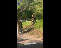 Guy rat mask tail sit park NYC