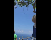 Guy climbs tree to photograph tourists 