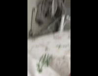 Collab Kale Salad IG - Cat jumps from drying rack onto bed