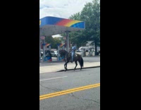Man ride on horse that walks funny