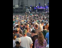 Man with llama puppet dances at a concert