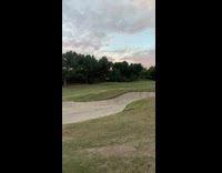Guy sees hawks trying to eat squirrel 