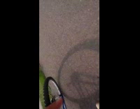 Dog with a leash stopped and makes filmer fall on the bike