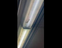 Rat inside ceiling light of subway train