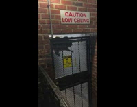 Raccoon Climbs over Door and Tries to Slip in