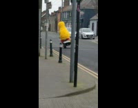 Yellow bird bird atv wheelie