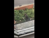 Stranger offers to clean garden 