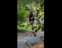 Collab IITW - Man and Woman tiktok dance at park