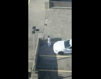Guy white shirt talk white car rooftop