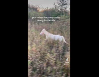 Collab Clips MPUGC - Woman horseback riding with pony tagging along 