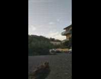 Man rides the skateboard and a bird enters the frame